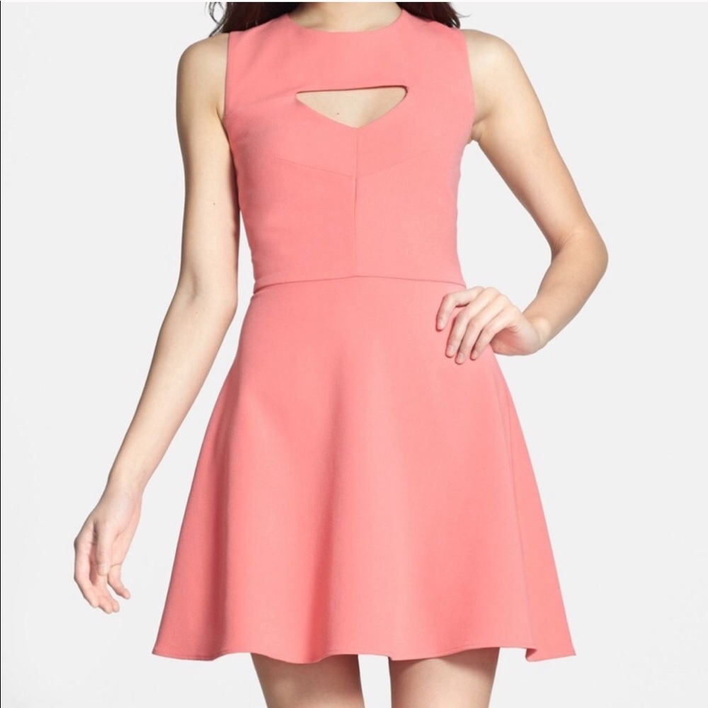 NWT French Connection Feather Ruth Fit Flare Cocktail Dress Blush